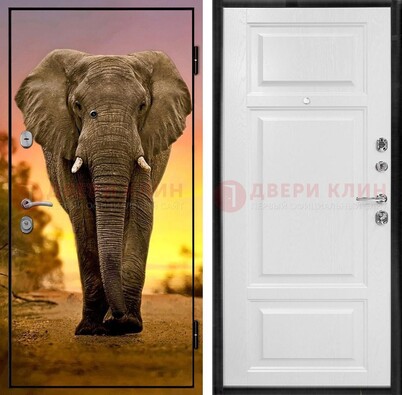 Металлическая дверь с фотопечатью слона ДФ-30 в Дзержинском