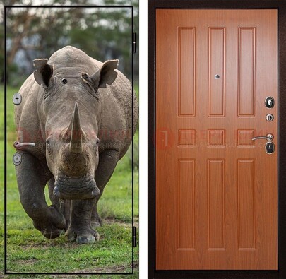 Металлическая дверь с фотопечатью носорога ДФ-31 в Дзержинском