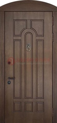 Коричневая стальная дверь с виноритом в форме арки ДВТ-237 в Дзержинском
